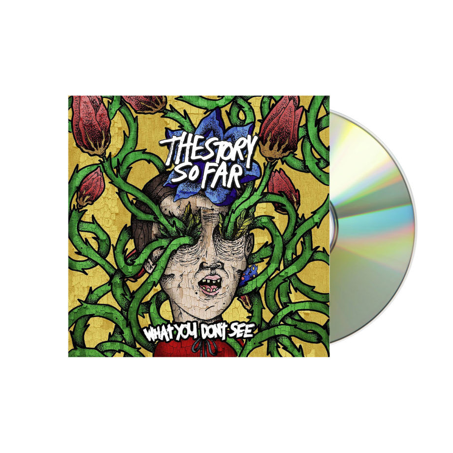 THE STORY SO FAR What You Don't See CD