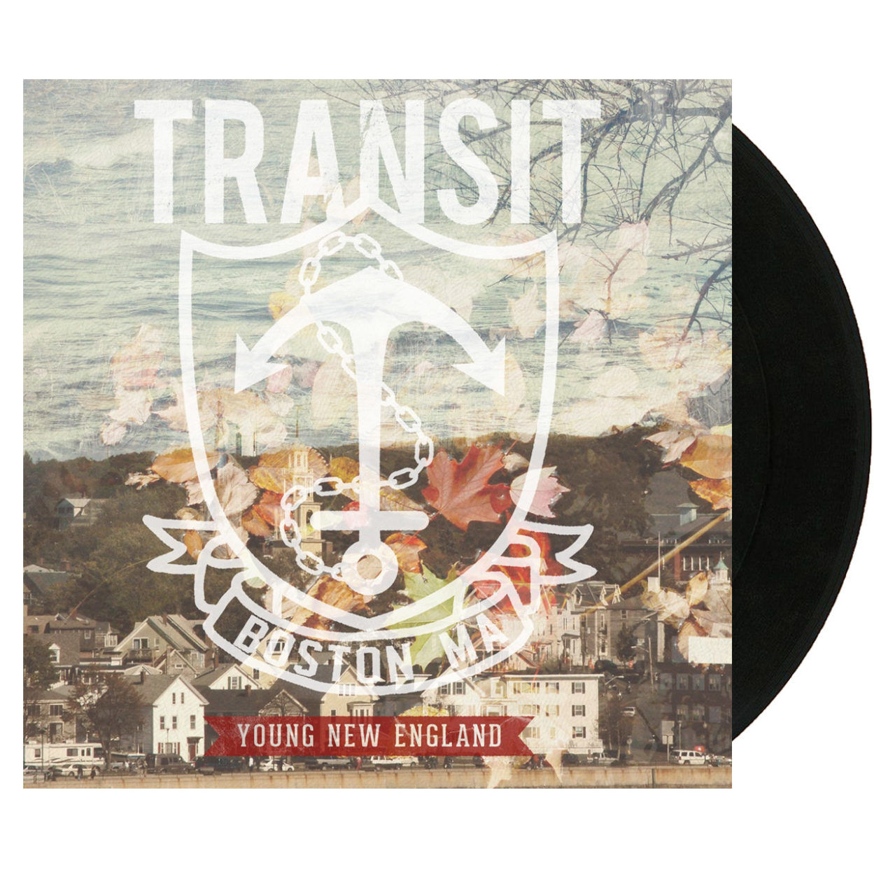TRANSIT Young New England Vinyl