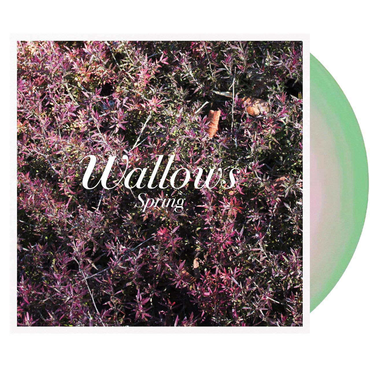 WALLOWS Spring EP Pink/Green Vinyl