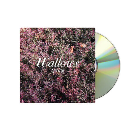 WALLOWS Spring EP CD, Case Dent