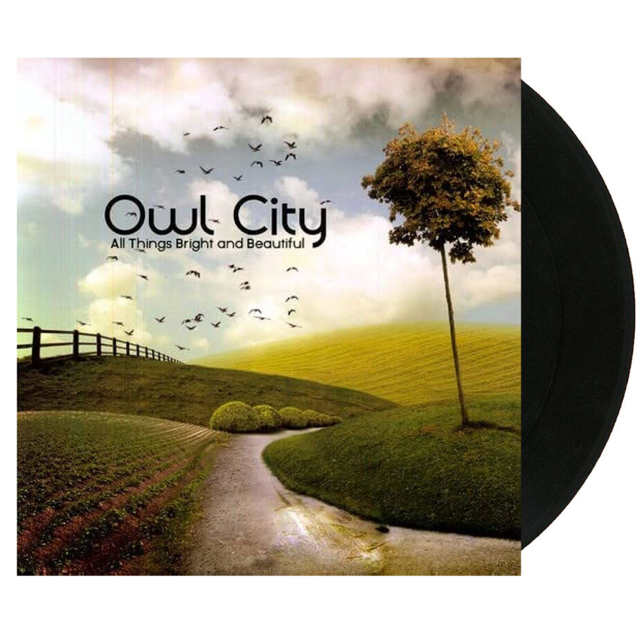 OWL CITY All Things Bright and Beautiful Black Vinyl