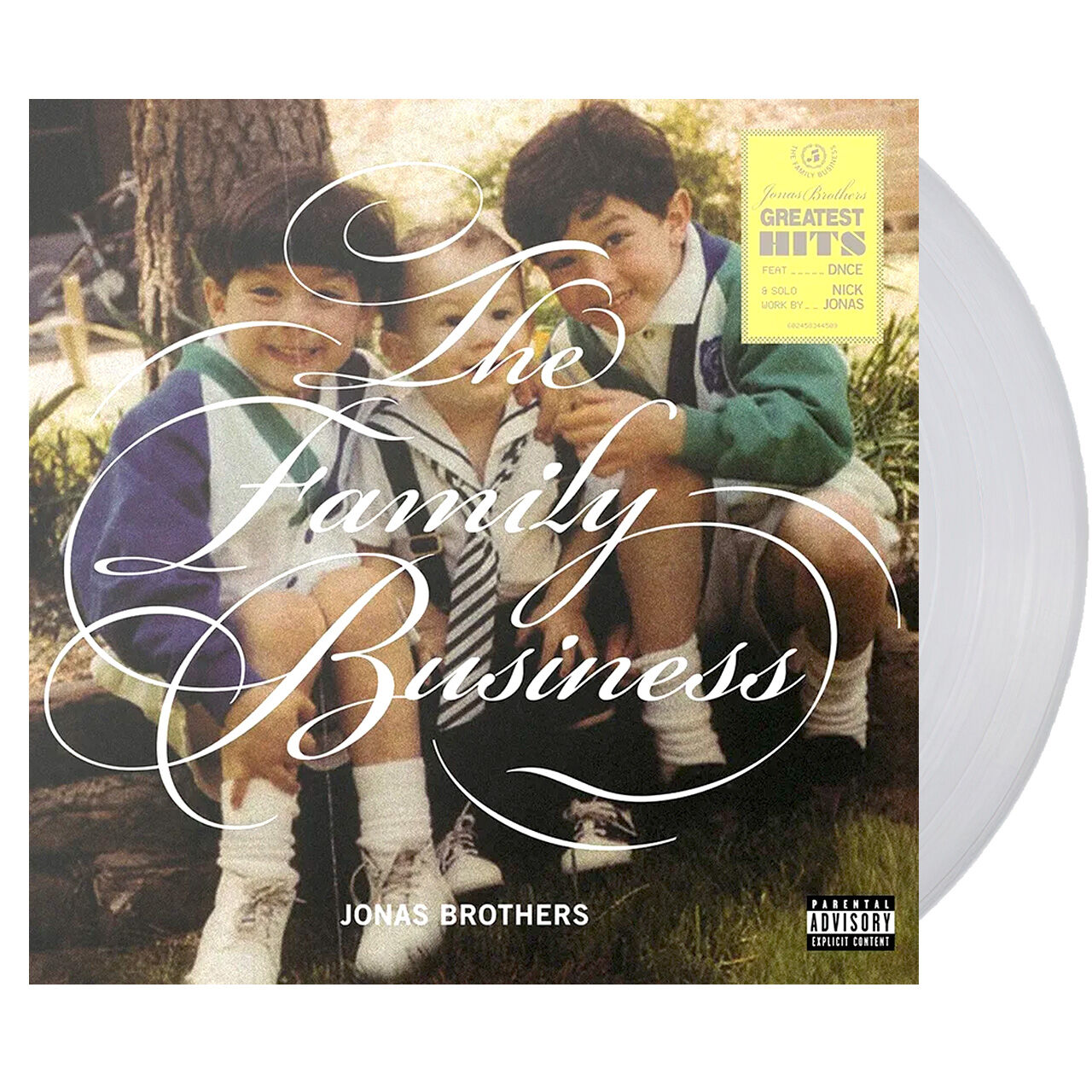 Jonas Brothers Self Titled store Clear Vinyl LP