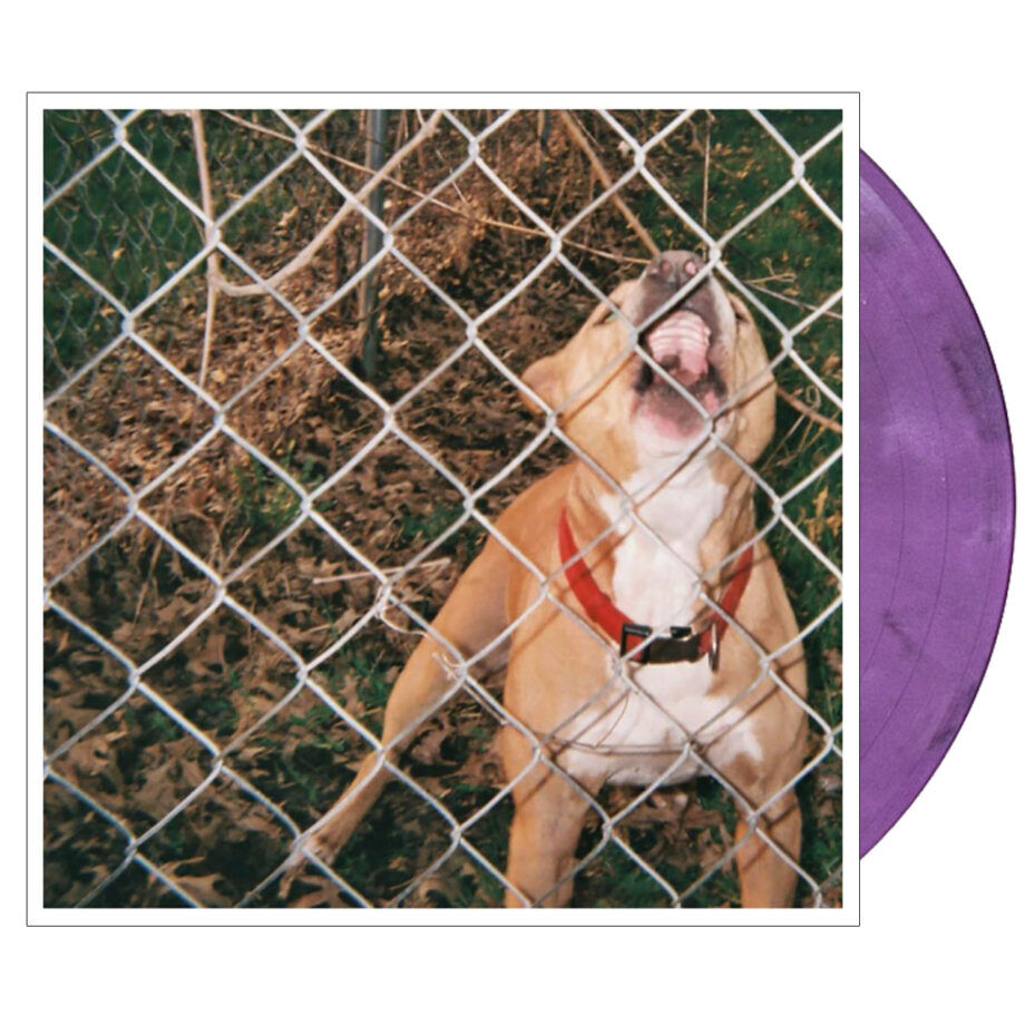 Knocked loose pop culture vinyl (recycled lavender, 1lp) us