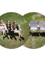 Haim days are gone vinyl (picture disc, 1lp) (2)
