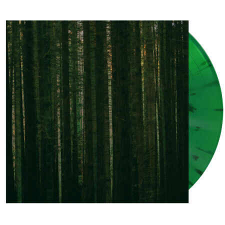 Paper kites evergreen vinyl (green, 1lp)